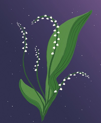 Lilies of the Valley